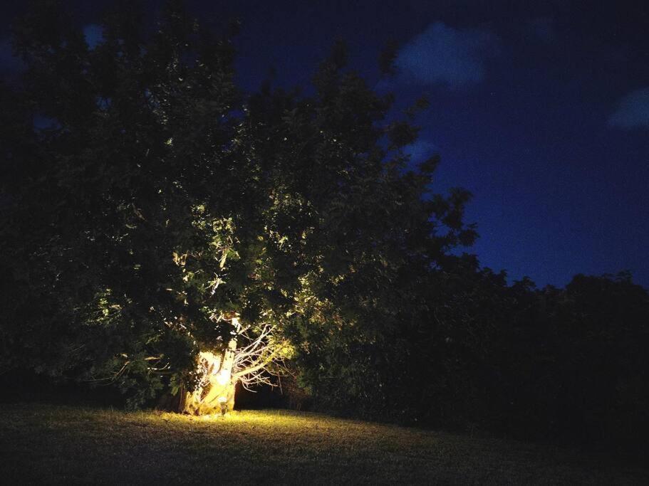 Villa Del Carrubo A Due Passi Dal Mare Di Cefalu Collesano Quarto foto
